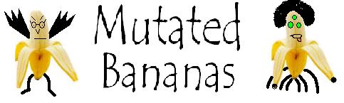 banner.jpg