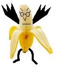 gordan.jpg